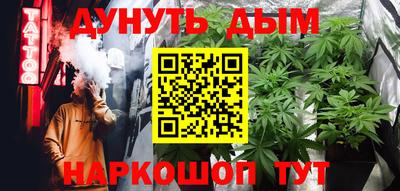 тгк Новодвинск