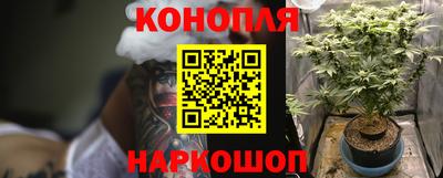 тгк Новодвинск