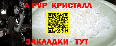 тгк Новодвинск